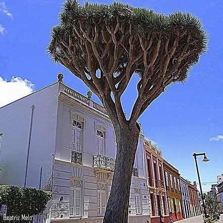 Ossuna Apartamento La Laguna (Tenerife)